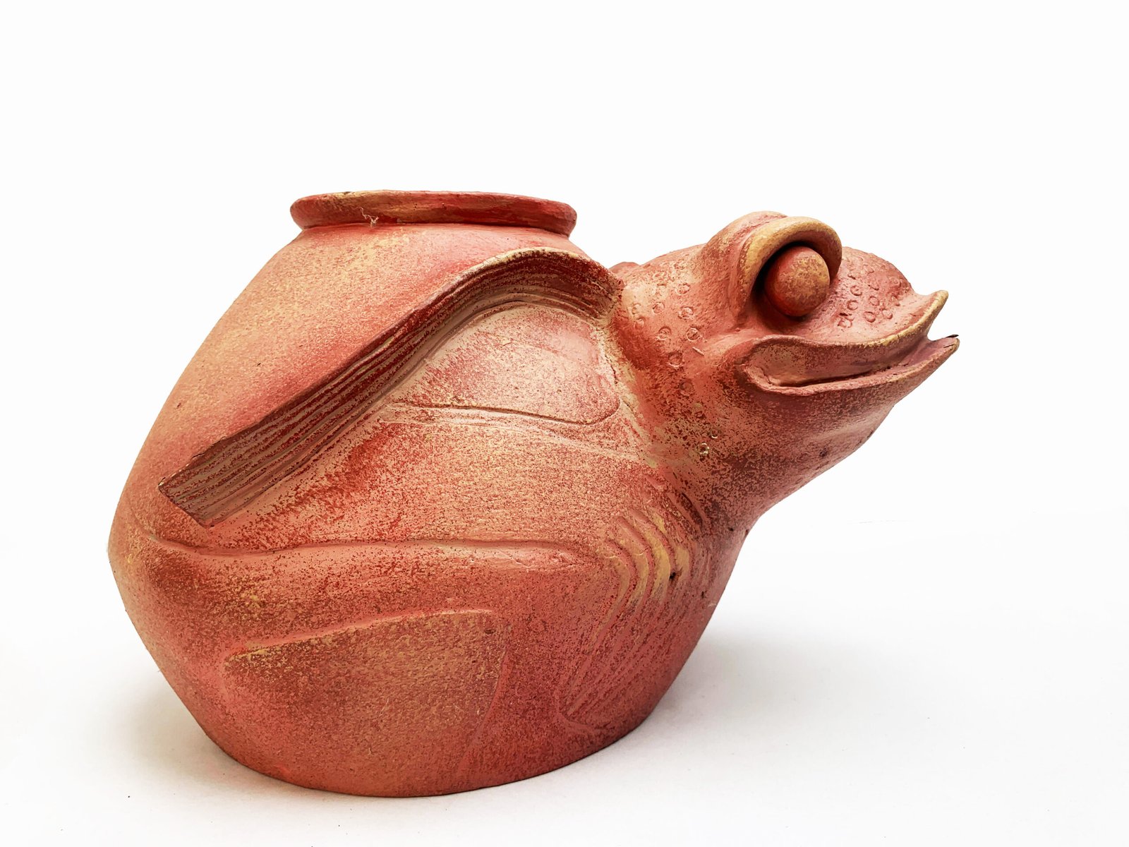 VERACRUZ TOAD - Image 2