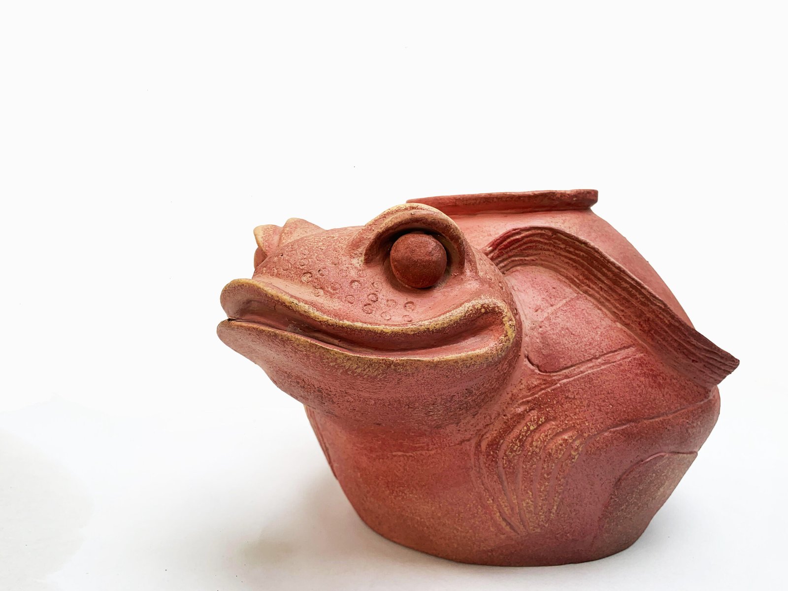 VERACRUZ TOAD - Image 3