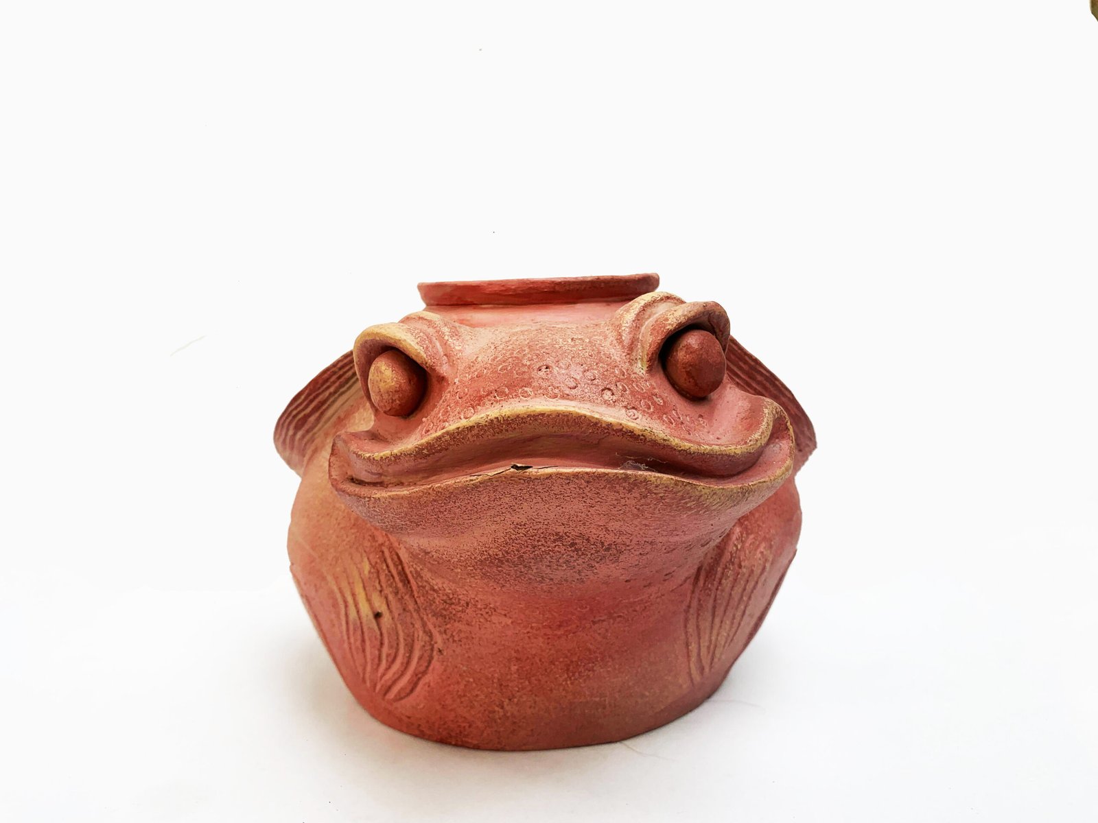 VERACRUZ TOAD - Image 4